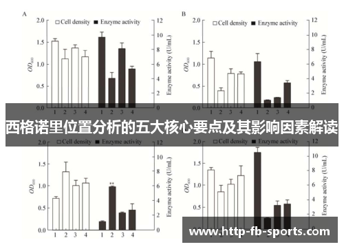 西格诺里位置分析的五大核心要点及其影响因素解读